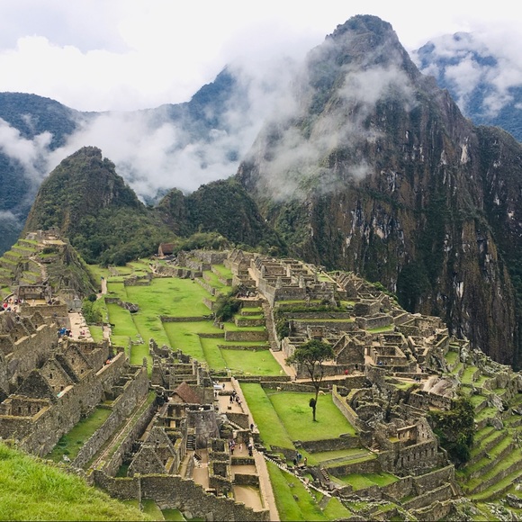 Meet your Posher, Cindy - Picture 1 of 1